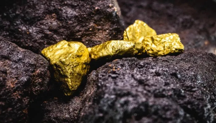 Gold discovery in Rajasthan