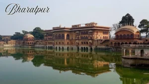 Best of Bharatpur in Just a Weekend