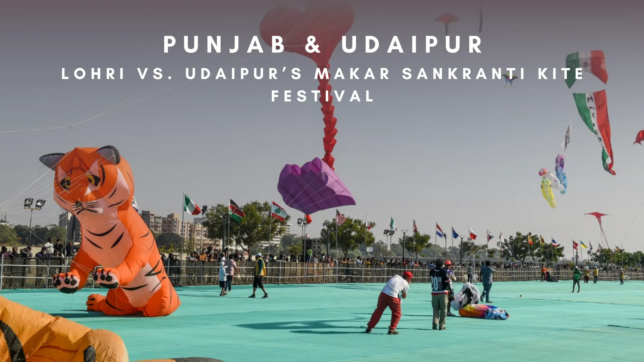 Lohri vs. Udaipur’s Makar Sankranti Kite Festival