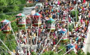 Hariyali Amavasya Mela