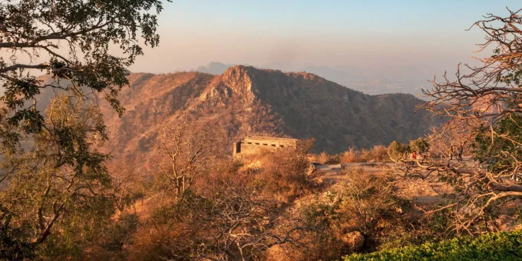 Top 7 Places to Visit in Udaipur During Monsoon Season (2025) 11 Sajjangarh Wildlife Sanctuary