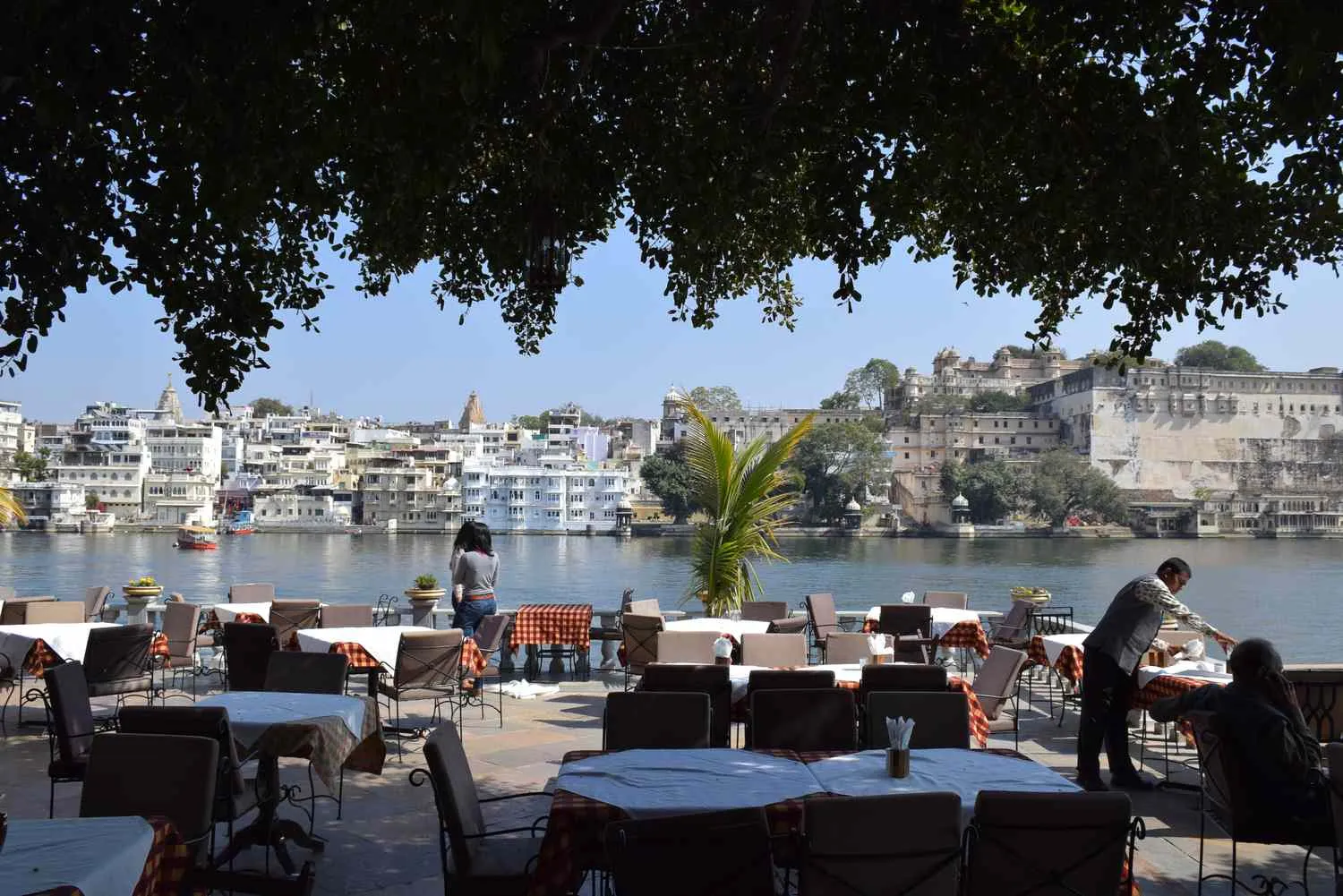 Where to Eat in Udaipur