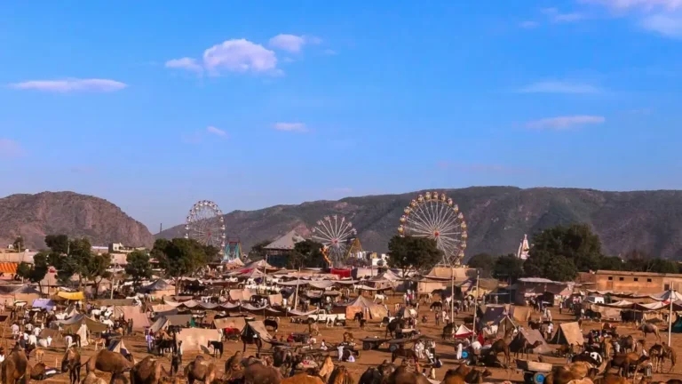 Pushkar Mela 2025
