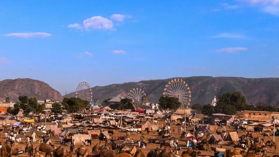 Pushkar Mela 2025