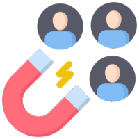 Audience Engagement & Community Management